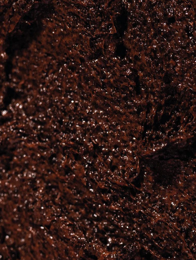 Mallows Coffee Body Scrub Body Care Mallows Beauty