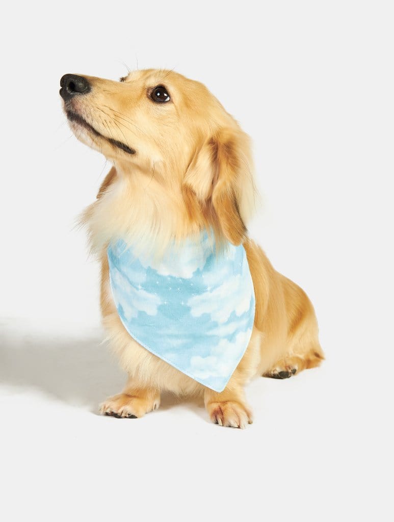 Cloudy Sky Printed Pet Bandana Pet Accessories Skinnydip London