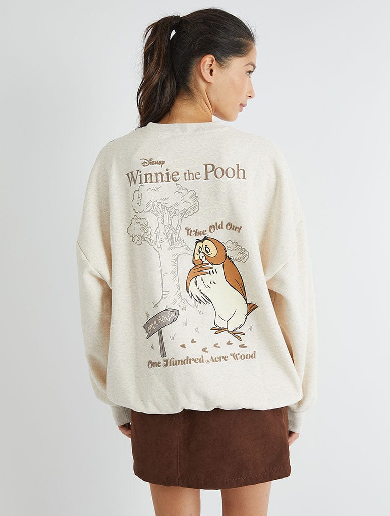 Disney Winnie The Pooh Owl Sweatshirt Hoodies & Sweatshirts Skinnydip London