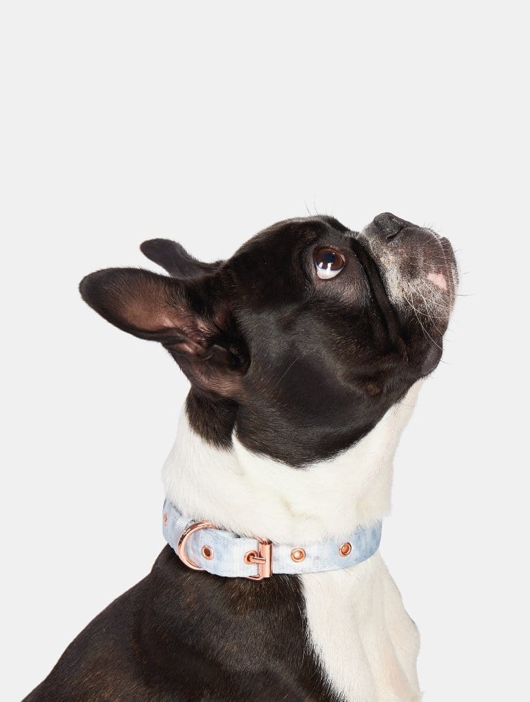 Marble Printed Pet Collar Pet Accessories Skinnydip London