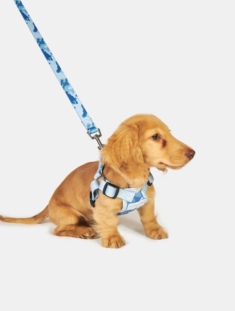 Pastel Blue Camo Printed Pet Harness Pet Accessories Skinnydip London